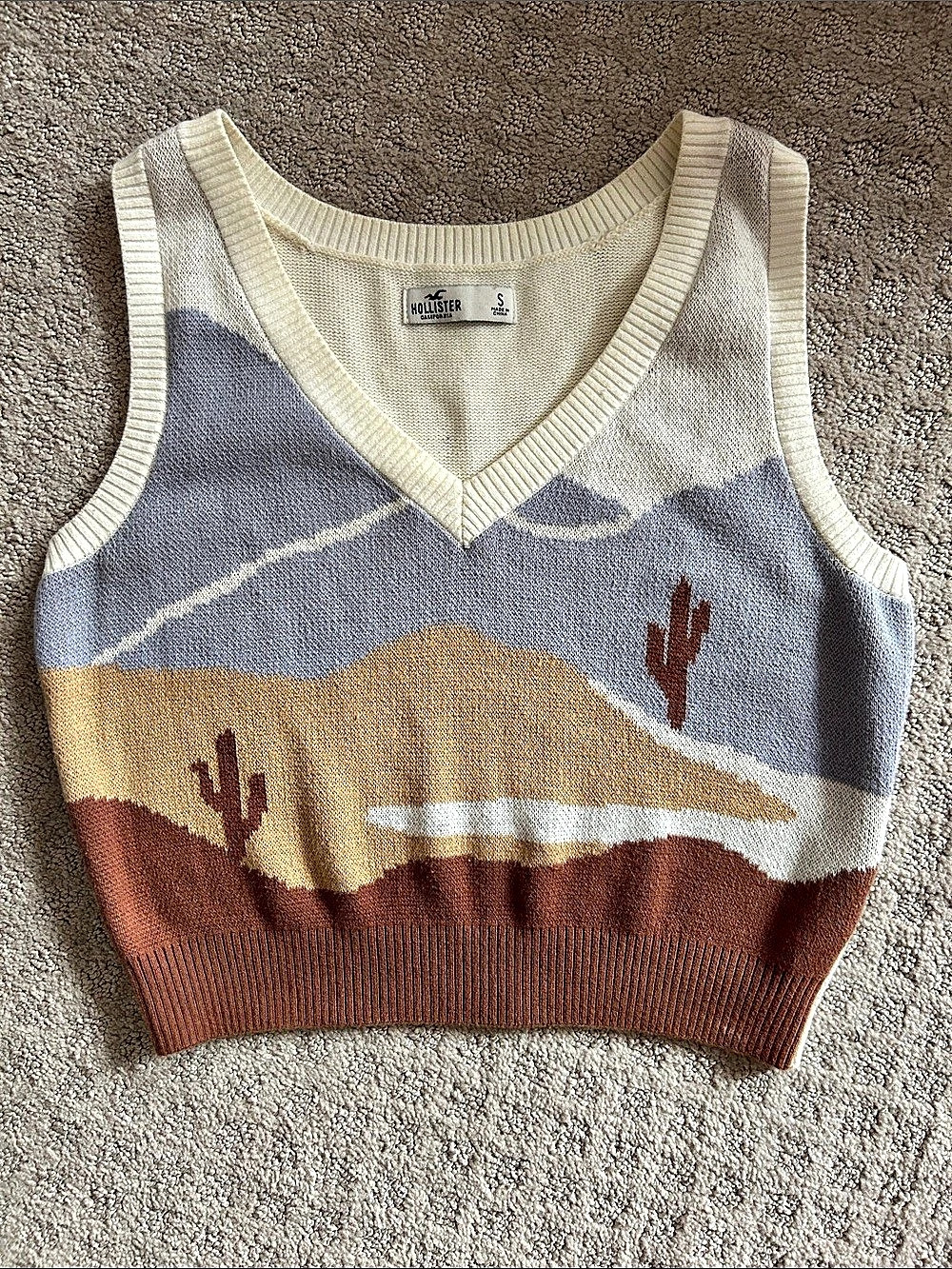 Hollister Western Cactus Motif Sweater Vest Brown & Blue Small Like New
